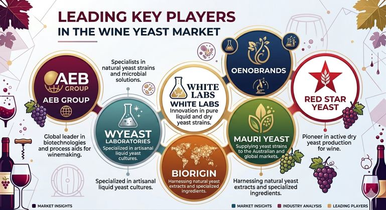 Leading-Key-Players-in-the-Wine-Yeast-Market