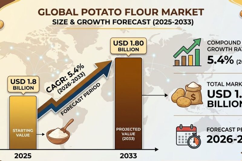 Potato Flour Market: Size, Share And Insights 2033
