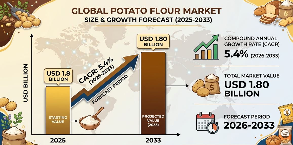 Potato Flour Market Size And Forecast